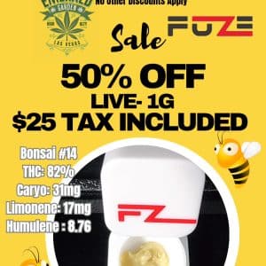Vendor Promo Daily