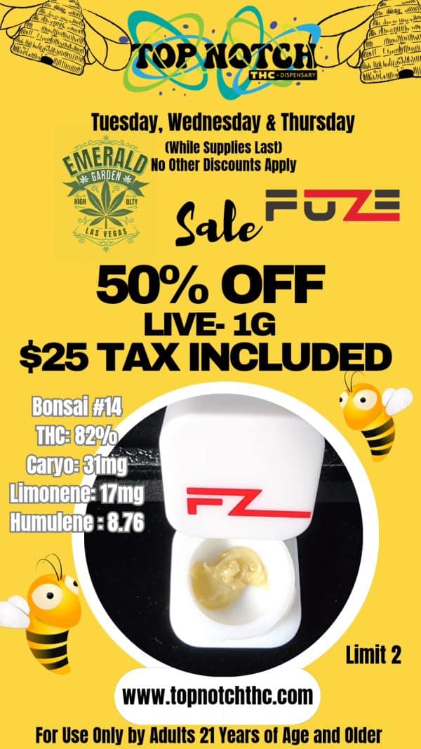 Vendor Promo Daily
