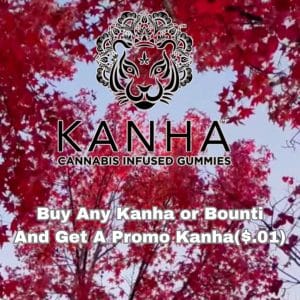 Vendor Promo Kanha