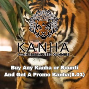 Vendor Promo Kanha