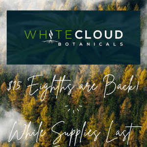 Vendor Promo White Cloud