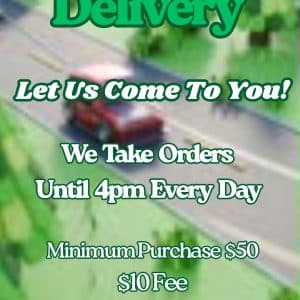 Vendor Promo Delivery