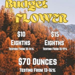 Vendor Promo Budget Flower