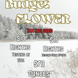 Vendor Promo Budget Flower