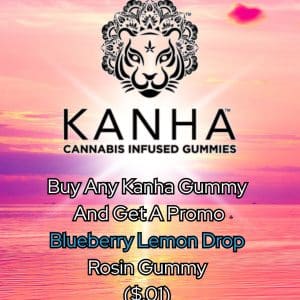 Vendor Promo Kanha