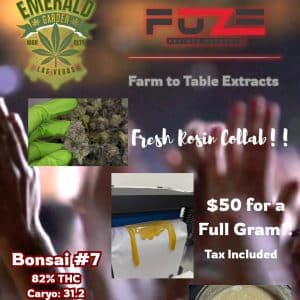 Vendor Promo Natures Chem