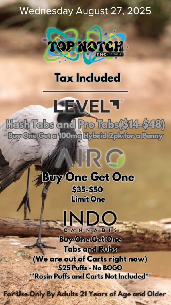 Vendor Promo Stiiizy