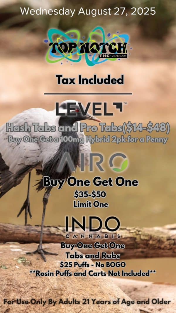 Vendor Promo Stiiizy