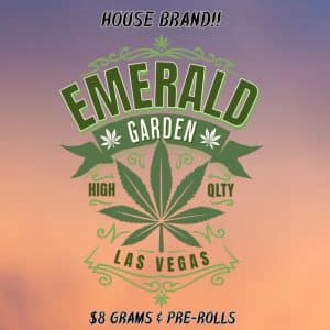 Vendor Promo - Daily Deal