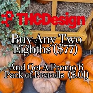 Vendor Promo Daily