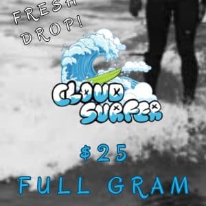 Vendor Promo Cloud Surfer