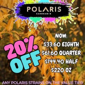 Vendor Promo - Polaris