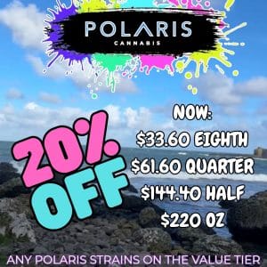 Vendor Promo - Polaris
