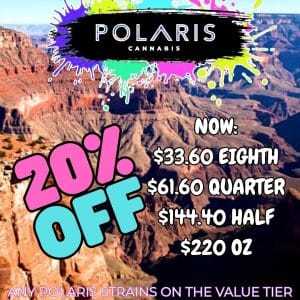 Vendor Promo - Polaris