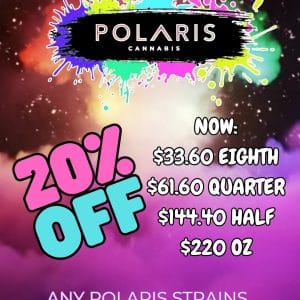 Vendor Promo - Polaris