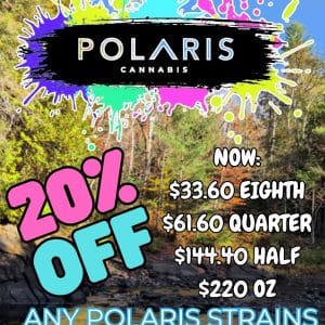 Vendor Promo - Polaris