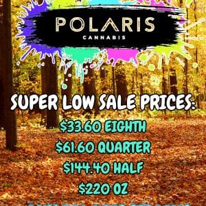 Vendor Promo - Polaris