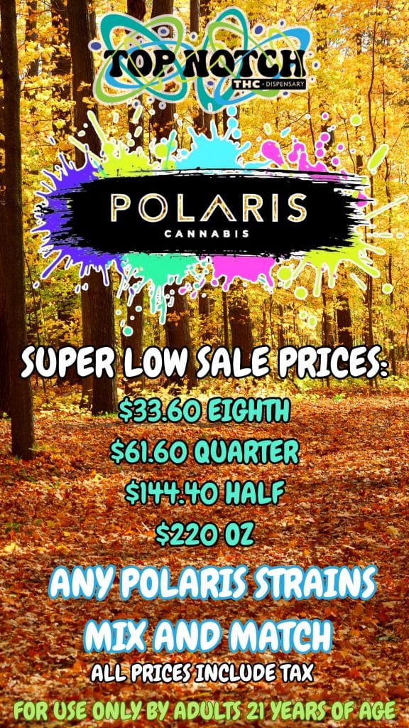 Polaris 2025 20260928 091346 0000