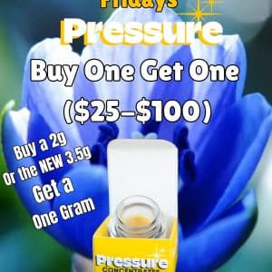 Vendor Promo Pressure BOGO