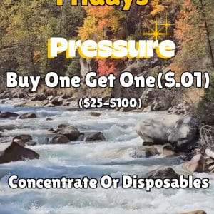 Vendor Promo Pressure BOGO