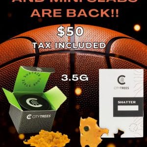 Vendor Promo City Baller