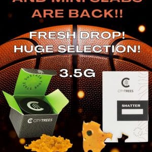 Vendor Promo City Baller