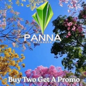 Vendor Promo Panna