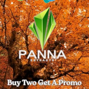 Vendor Promo Panna