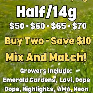 Vendor Promo Half Sack