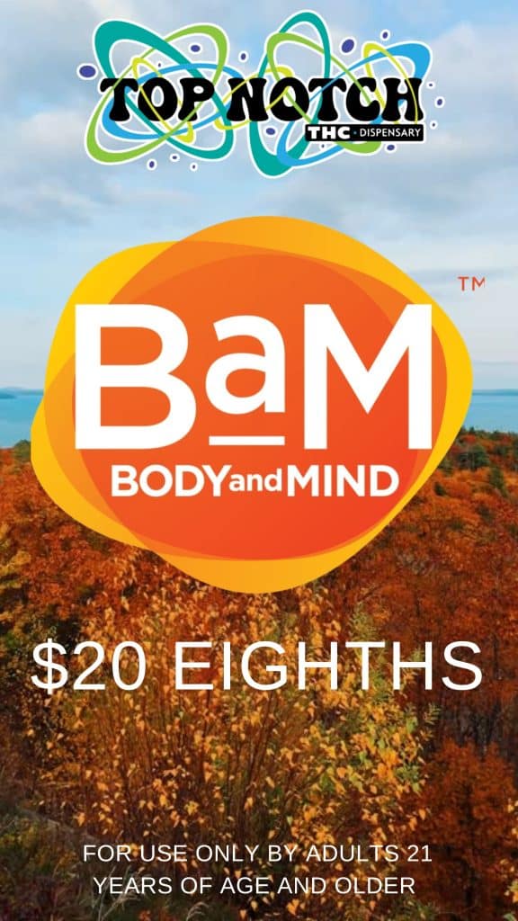 Copy of Bam 20260928 082322 0000