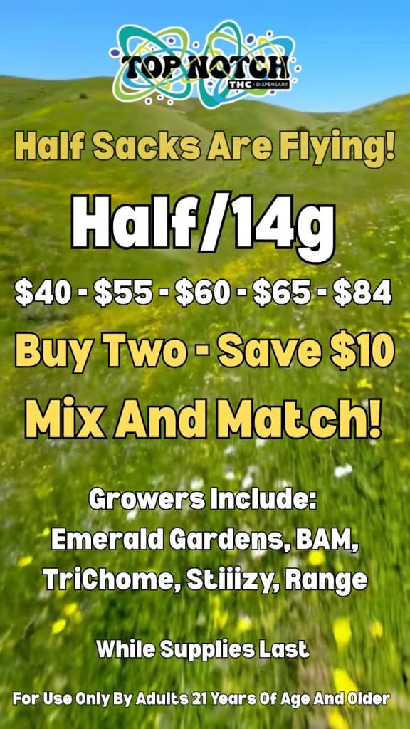 Half Sacks Are Flying 20260923 095854 0000