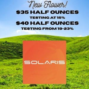 Vendor Promo Solaris