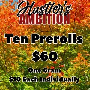 Vendor Promo Hustler Preroll