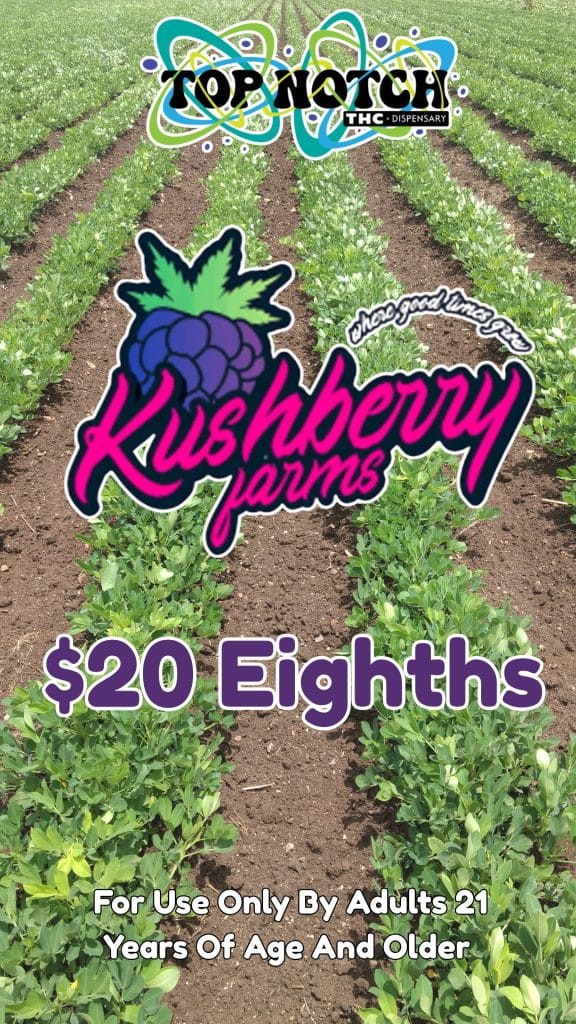 20 Eighths 20260330 100302 0000