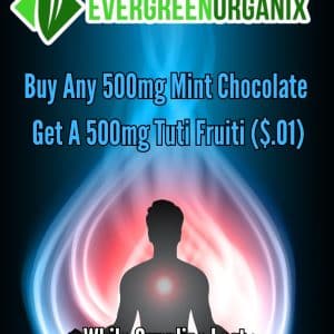 Vendor Promo EGO