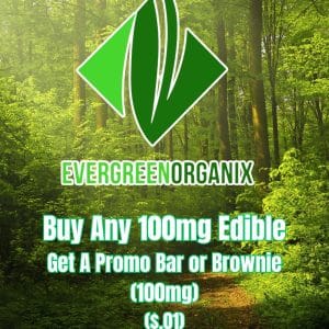 Vendor Promo EGO