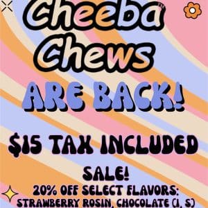 Vendor Promo Cheeba