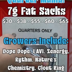 Vendor Promo Quarters