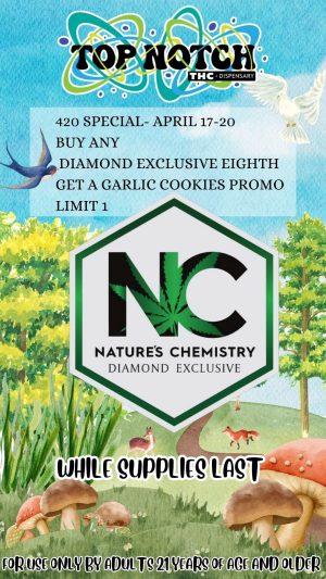 420 Diamond Exc_20260417_094815_0000