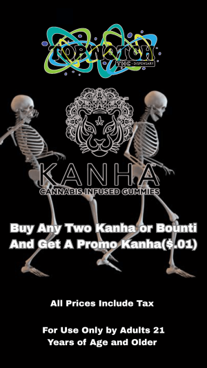 Buy Any 2 Kanha Gummue and Get A Promo for A Penny_20251004_103922_0000