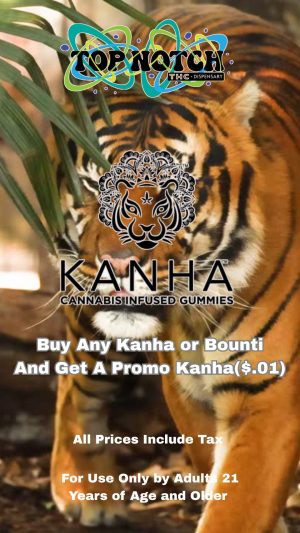 Buy Any 2 Kanha Gummue and Get A Promo for A Penny_20251124_090426_0000