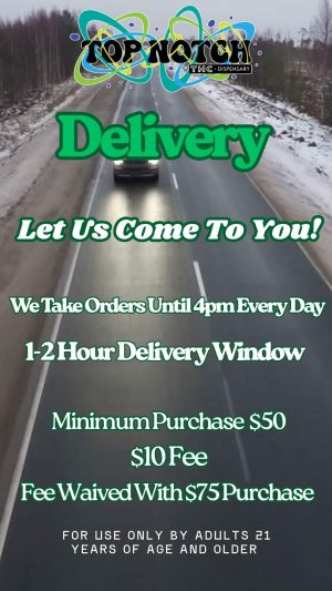 Delivery_20260102_084527_0000