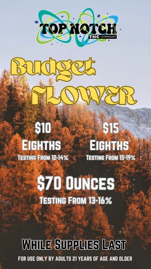 Flower_20251202_105632_0000