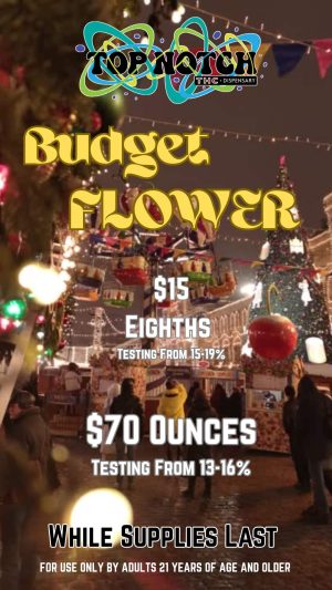 Flower_20251213_081429_0000