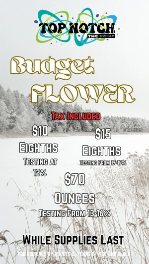 Flower_20251226_091931_0000