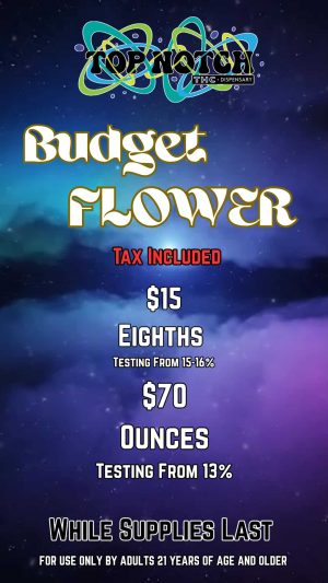 Flower_20260129_095212_0000