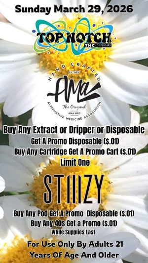 Sunday_20260329_083642_0000