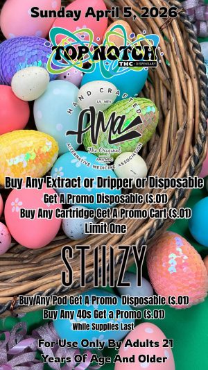 Sunday_20260405_081647_0000