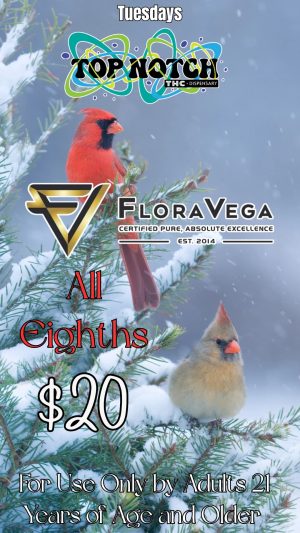 Tuesday Flora Vega_20251202_085615_0000