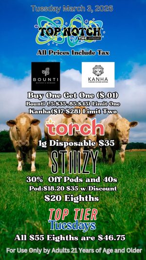 Tuesday_20260303_094437_0000